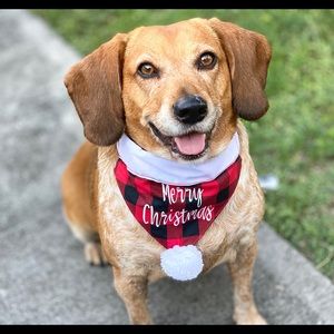 Christmas dog bandana, buffalo plaid dog bandana